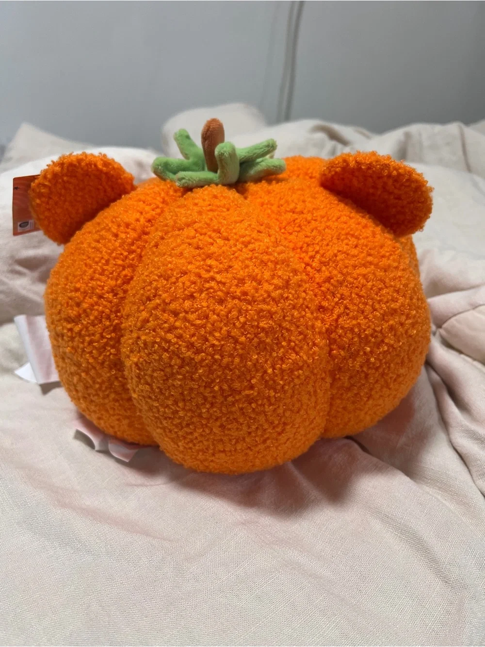 Aldi x Disney WINNE THE POOH Pumpkin 10” Plush Pillow Viral Halloween Fall 2026